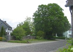 Bild2