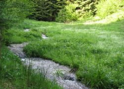 Bild4