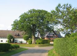 Eich1